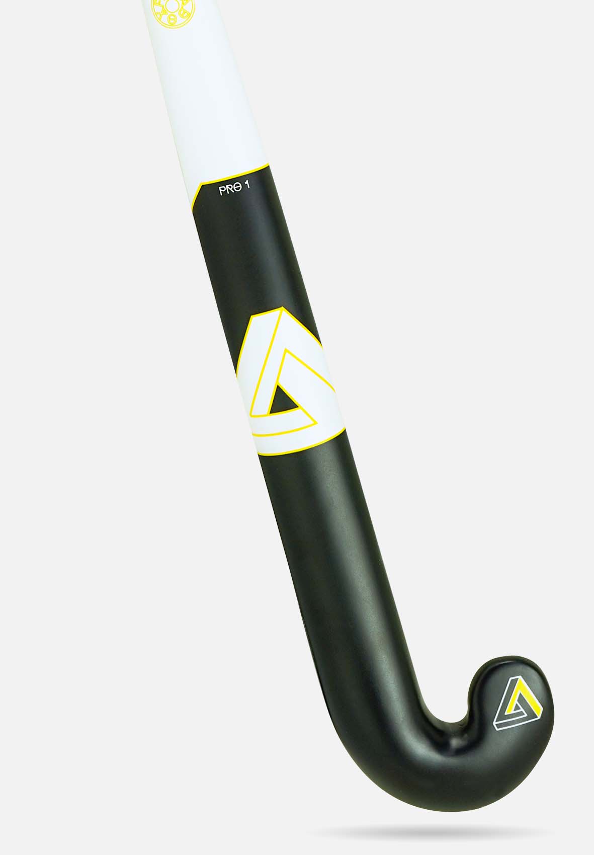 Paradox Pro 1
